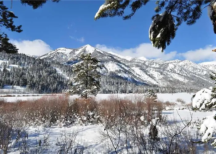 Apartment Rmr: Bearberry 3422 In The Aspenswilson Wy *