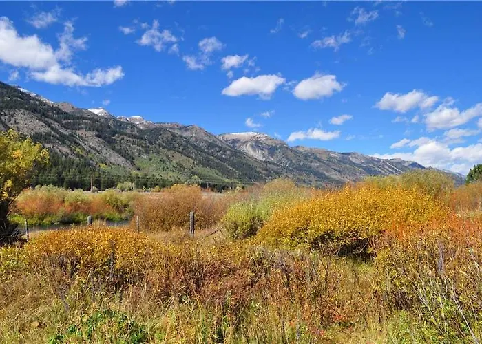 Rmr: Bearberry 3422 In The Aspenswilson Wy